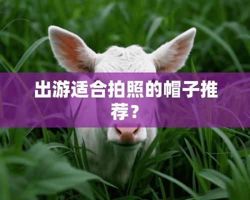 出游适合拍照的帽子推荐？