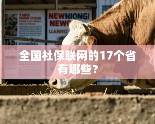 全国社保联网的17个省有哪些？