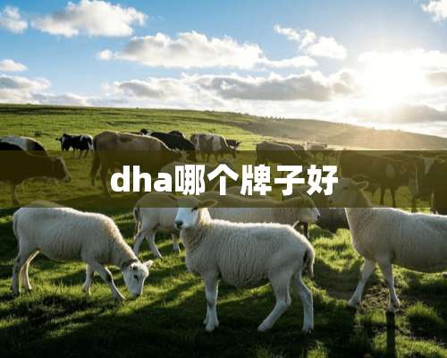 dha哪个牌子好