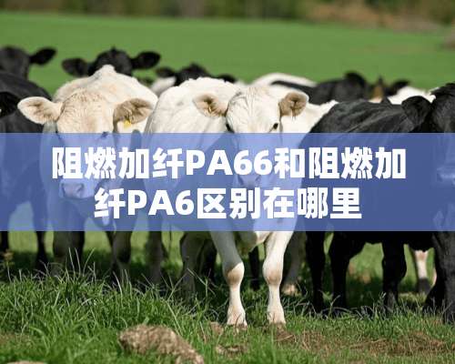 阻燃加纤PA66和阻燃加纤PA6区别在哪里