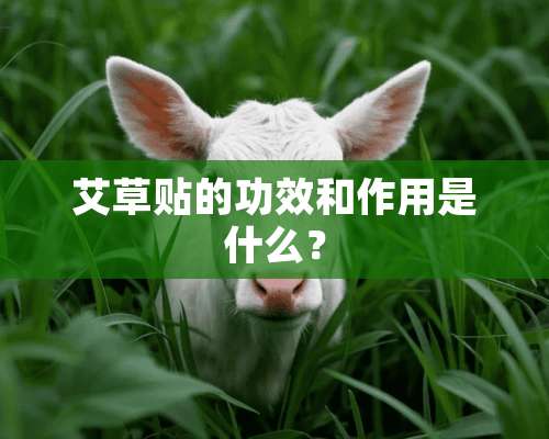 艾草贴的功效和作用是什么？