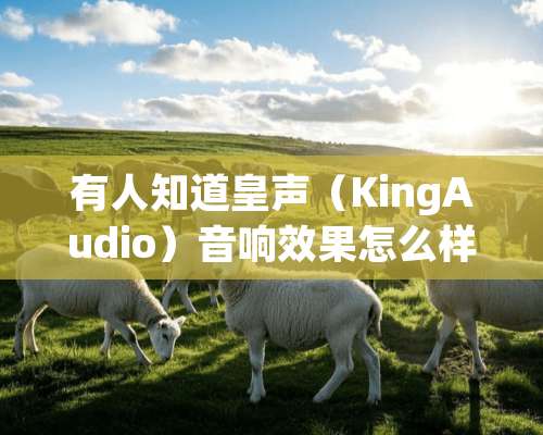 有人知道皇声（KingAudio）音响效果怎么样吗？朋友推荐这个牌子