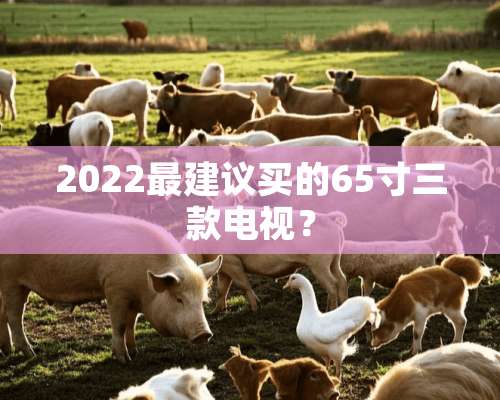 2022最建议买的65寸三款电视？