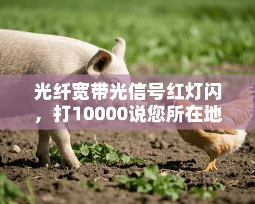 光纤宽带光信号红灯闪，打10000说您所在地区存在设备故障什么意思