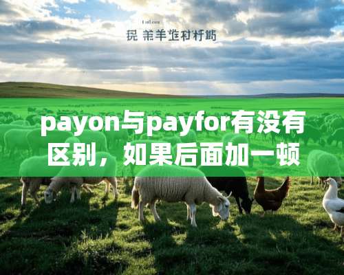 payon与payfor有没有区别，如果后面加一顿饭ameal，是用哪个比较好？