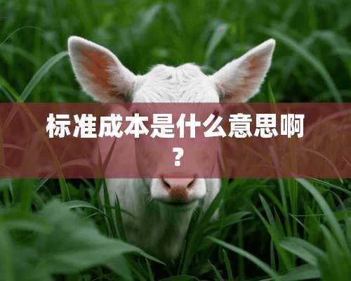 标准成本是什么意思啊？