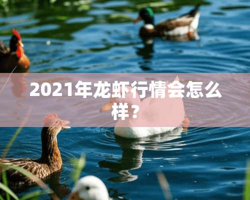 2021年龙虾行情会怎么样？