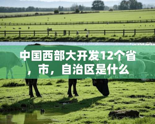 中国西部大开发12个省，市，自治区是什么