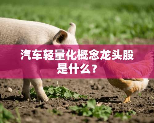 汽车轻量化概念龙头股是什么？