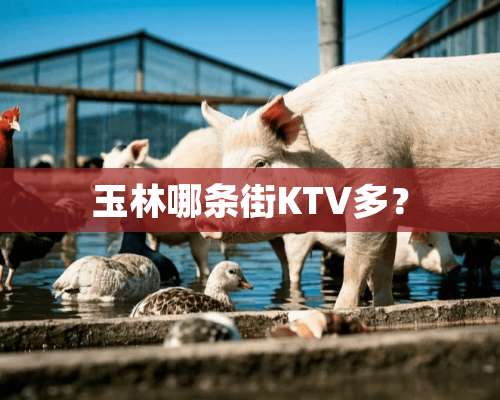 玉林哪条街KTV多？