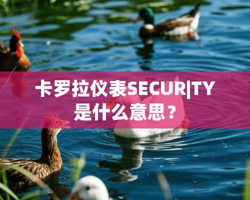 卡罗拉仪表SECUR|TY是什么意思？