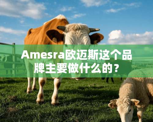 Amesra欧迈斯这个品牌主要做什么的？