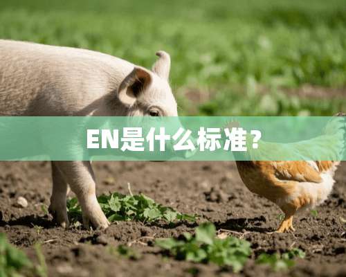 EN是什么标准？