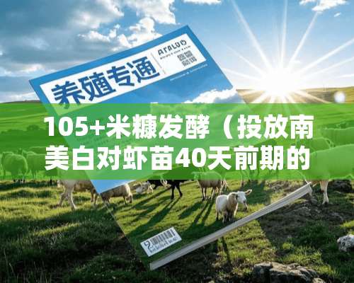 105+米糠发酵（投放南美白对虾苗40天前期的稳水、预防蓝藻、亚盐等）