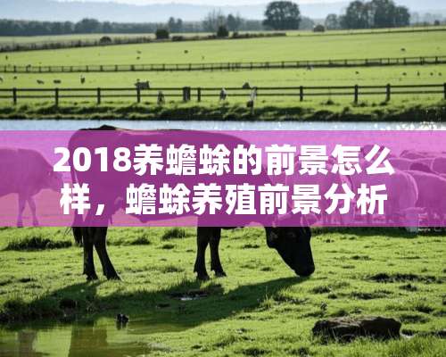 2018养蟾蜍的前景怎么样，蟾蜍养殖前景分析