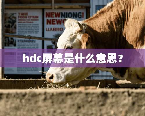 hdc屏幕是什么意思？