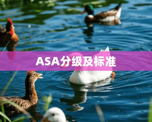 ASA分级及标准