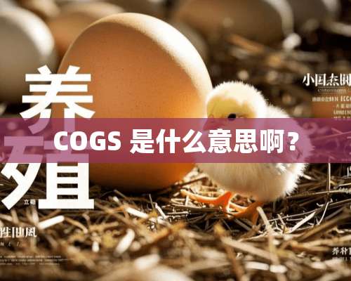 COGS 是什么意思啊？