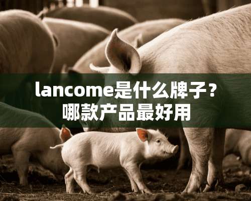 lancome是什么牌子？哪款产品最好用