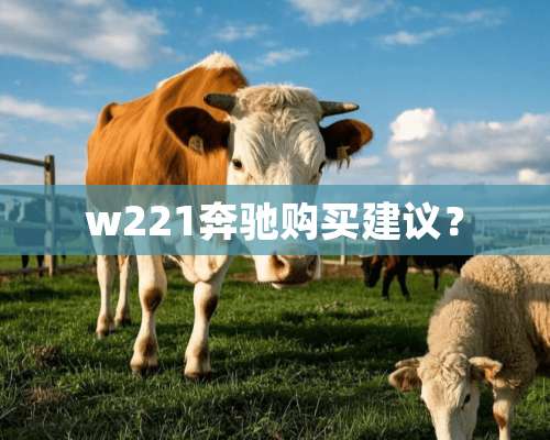 w221奔驰购买建议？