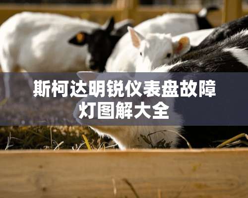 斯柯达明锐仪表盘故障灯图解大全