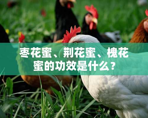 枣花蜜、荆花蜜、槐花蜜的功效是什么？