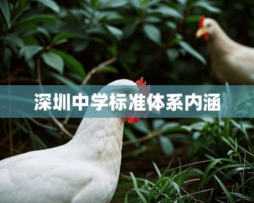 深圳中学标准体系内涵