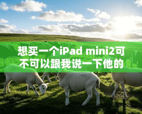 想买一个iPad mini2可不可以跟我说一下他的优缺点，我主要用来看电视剧？