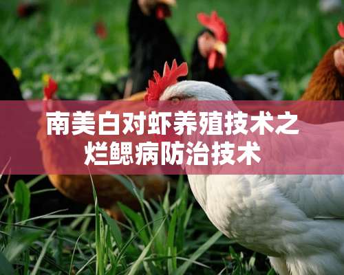 南美白对虾养殖技术之烂鳃病防治技术