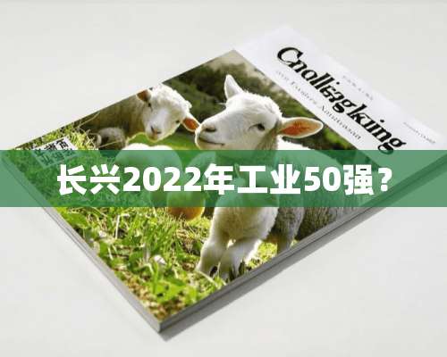 长兴2022年工业50强？