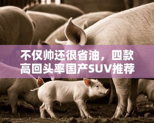 不仅帅还很省油，四款高回头率国产SUV推荐，款款精品