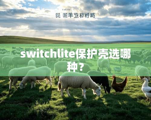 switchlite保护壳选哪种？