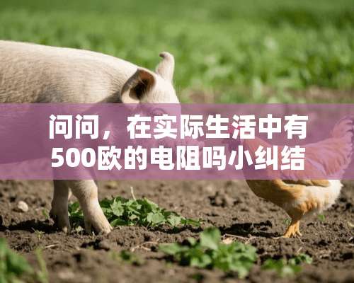 问问，在实际生活中有500欧的电阻吗小纠结