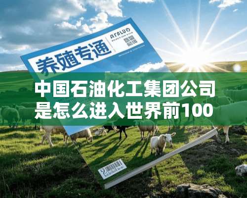 中国石油化工集团公司是怎么进入世界前100强的