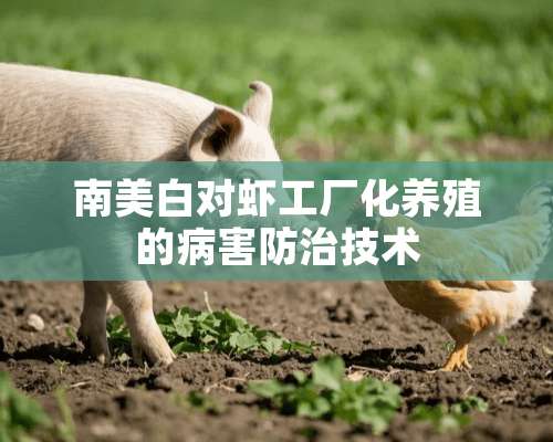 南美白对虾工厂化养殖的病害防治技术