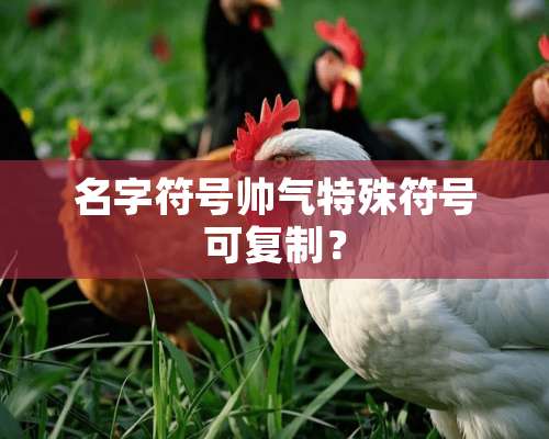 名字符号帅气特殊符号可复制？