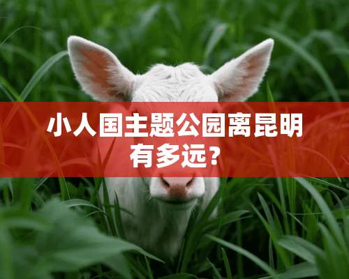 小人国主题公园离昆明有多远？