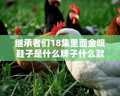 继承者们18集里面金叹鞋子是什么牌子什么款？如图