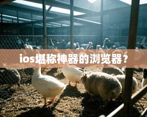 ios堪称神器的浏览器？