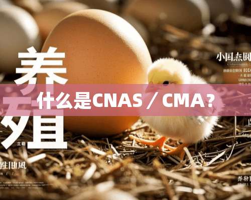 什么是CNAS／CMA？