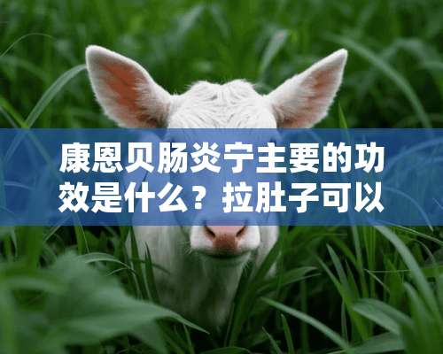 康恩贝肠炎宁主要的功效是什么？拉肚子可以吃么？