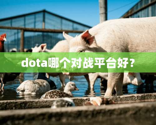 dota哪个对战平台好？