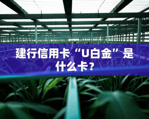 建行***“U白金”是什么卡？