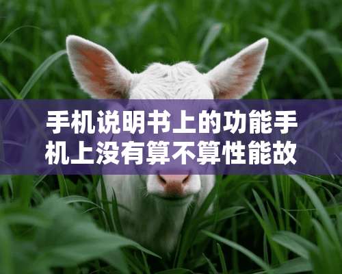 手机说明书上的功能手机上没有算不算性能故障