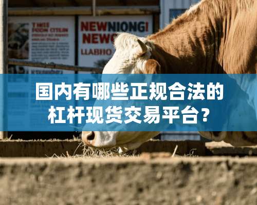 国内有哪些正规合法的杠杆现货交易平台？