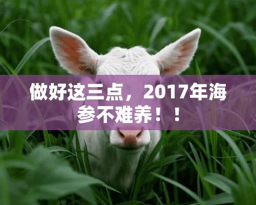 做好这三点，2017年海参不难养！！