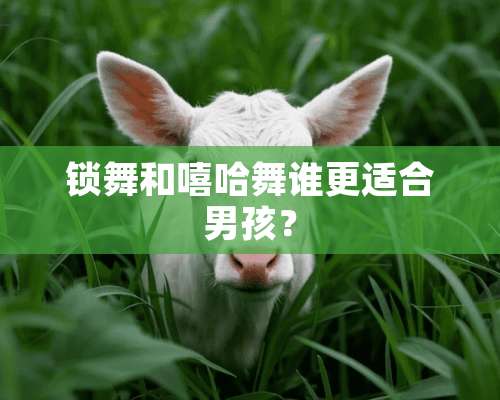 锁舞和嘻哈舞谁更适合男孩？