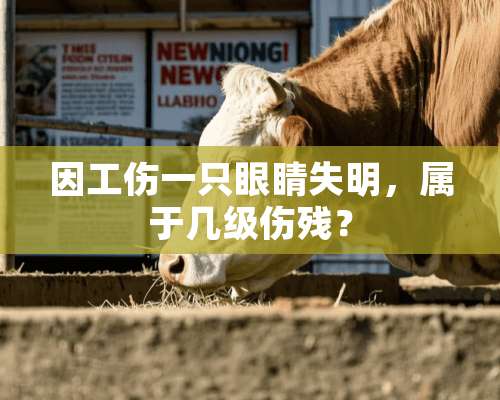 因工伤一只眼睛失明，属于几级伤残？