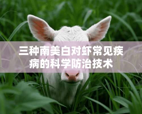 三种南美白对虾常见疾病的科学防治技术