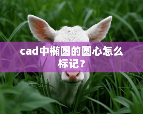 cad中椭圆的圆心怎么标记？